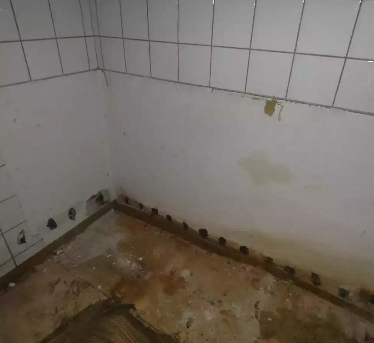 Fürdőszoba szigetelése Fürdőszoba szigetelés